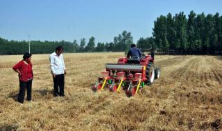 三月打雷麦谷堆是什么意思 二月打雷是什么征兆