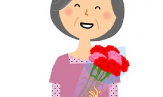 一般花店一束康乃馨最贵的多少钱 一束康乃馨图片